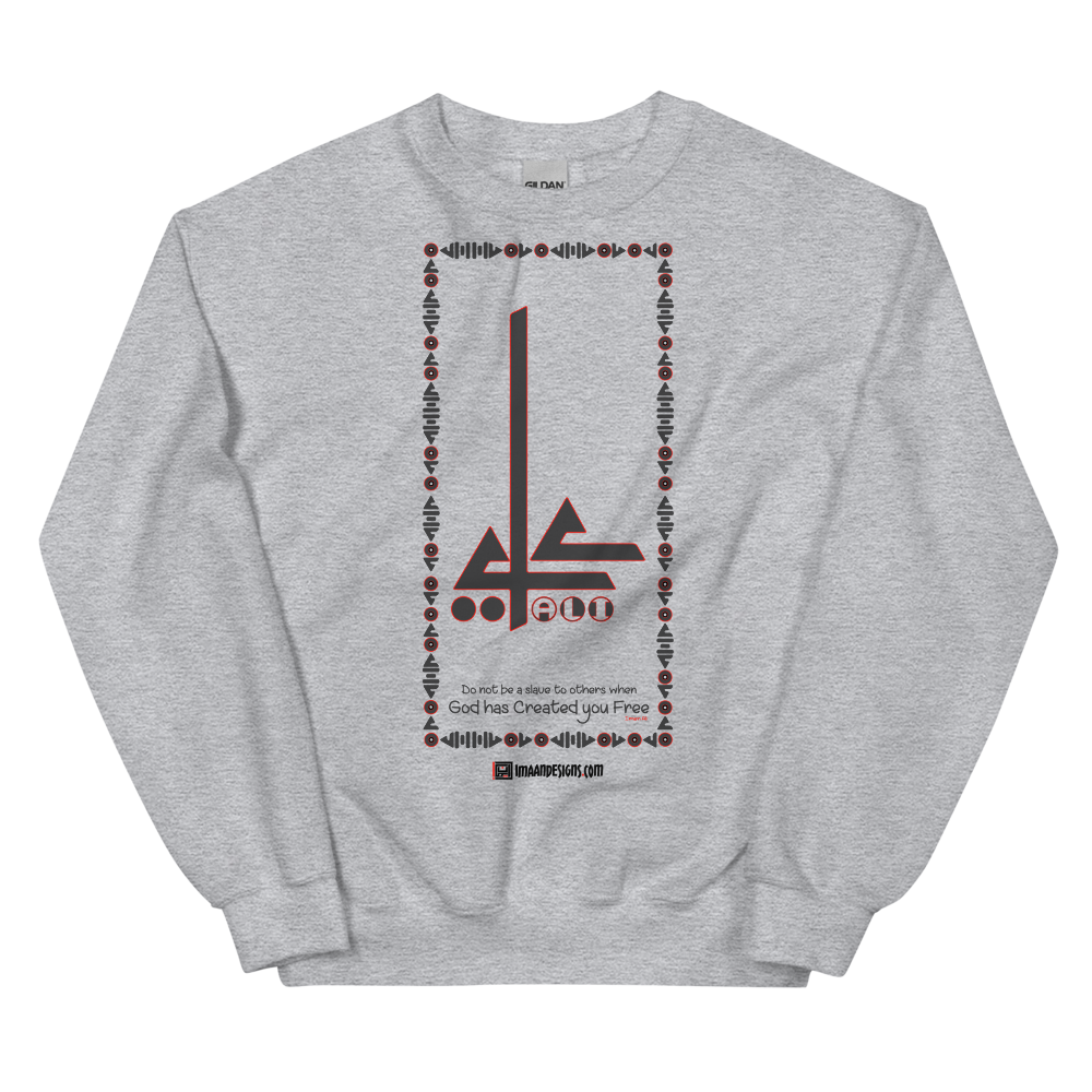 Aliogliphics - Adult Sweatshirt